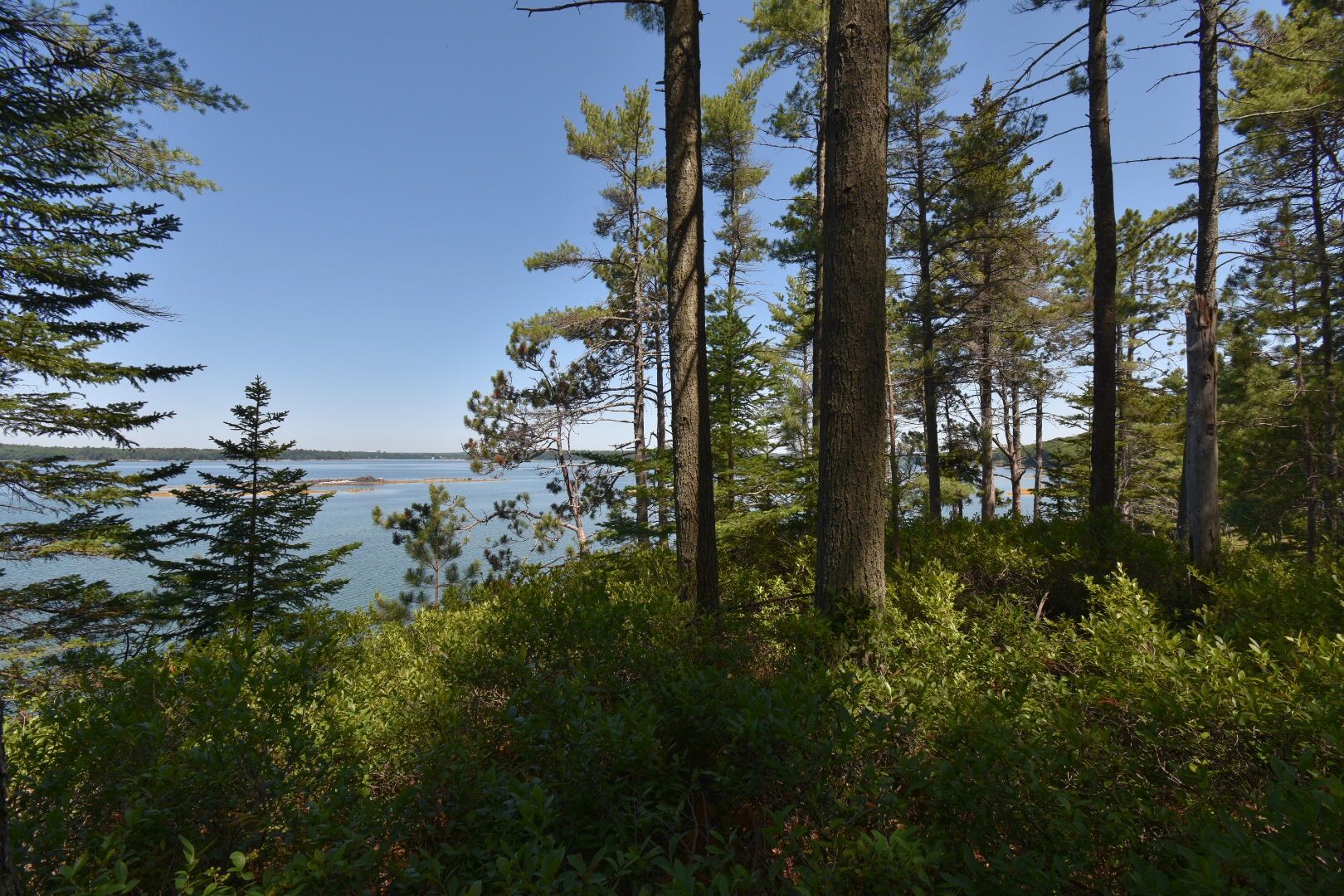 Roxanne York Real Estate